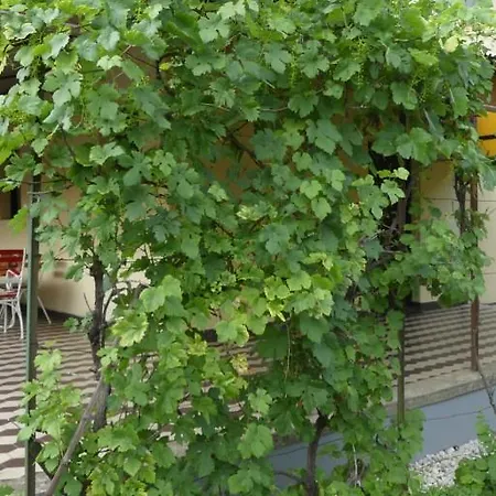 Сasa de vacaciones Ibolyaház *